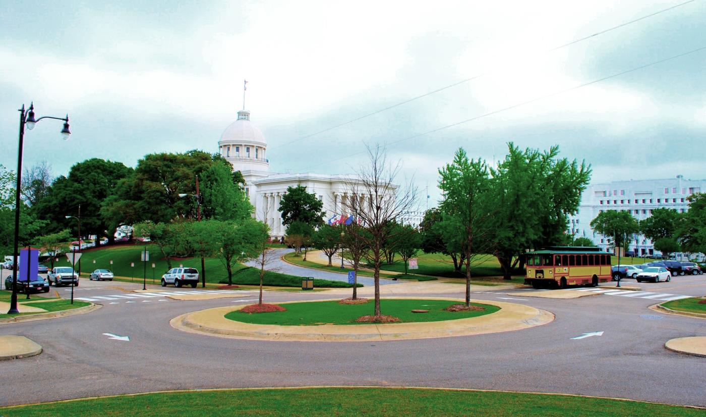 Alligator that escpaed the zoo and went swimming in neighbors pool